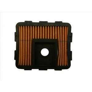 Filters for garden machine petrol engines
